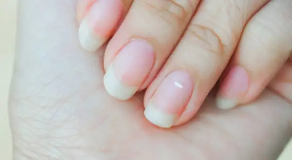 Zbliżenie na dłoń z zadbanymi paznokciami w stylu francuskiego manicure.