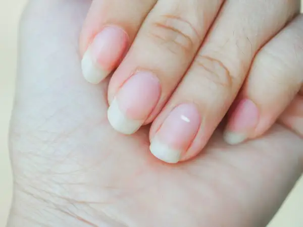 Zbliżenie na dłoń z zadbanymi paznokciami w stylu francuskiego manicure.